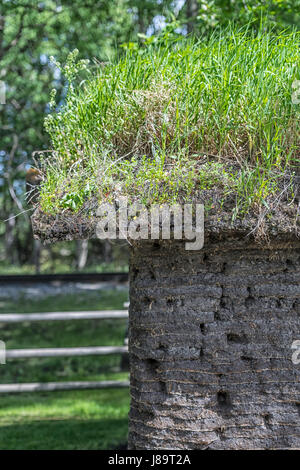 Hütte oder Haus gebaut von Sod (Erde) Stockfoto