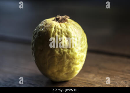 eine Guave guajava Stockfoto