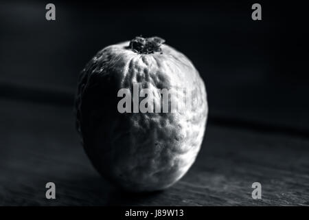 eine Guave guajava Stockfoto