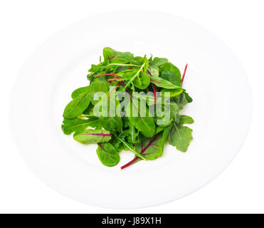 Salat mit Mangold und Parmeggiano auf Platte Stockfoto