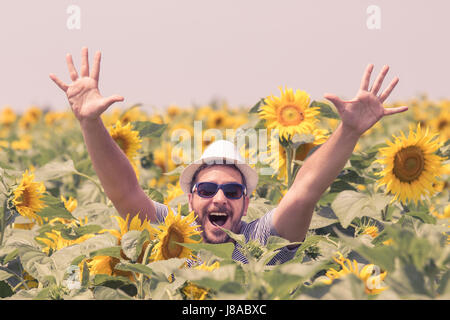 Porträt des jungen glücklicher Mann mit Hut und Sonnenbrille mit erhobenen Händen in Sonnenblumen Feld. Stockfoto