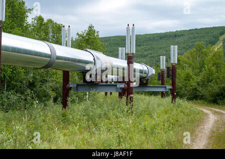 Alyeska Pipeline in der Nähe von Fairbanks Alaska Stockfoto