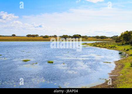 ISimangaliso Wetland Park Landschaft, Südafrika. Schönes Panorama aus Afrika. Safari und im freien Stockfoto