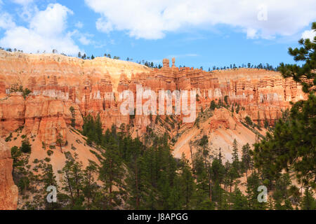 Panorama vom Bryce Canyon National Park, USA. Hoodoos, geologischen Formationen. Schöne Landschaft Stockfoto