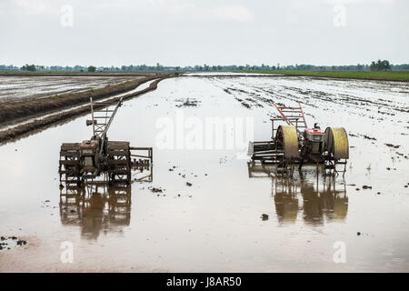 Traktor im Reisfeld für die Landwirtschaft-Bodenbearbeitung Stockfoto