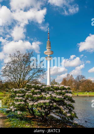 See-Parksee, Planten un Blomen, hinten die Hamburger TV tower, Heinrich-Hertz-Turm, Tele-Michel, Telemichel, Hamburg Stockfoto