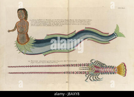 Bilder von der ersten Farbe Veröffentlichung auf Fisch (1754) Stockfoto
