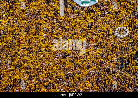 Public Viewing auf der Dortmunder großen zwischen Dortmunder Rathaus und Rathaus Dortmund, Cup-match zwischen BVB und Eintracht Frankfurt, Fanme Stockfoto