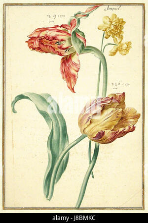 Das Karlsruher Tulpenbuch ist ein botanisches Buch mit verschiedenen Tulpenarten. In dieser 42. Ausgabe werden die Schönheit und Vielfalt der Tulpensorten hervorgehoben, wobei ihr Schwerpunkt auf ihre Rolle im europäischen Gartenbau gelegt wird. Stockfoto