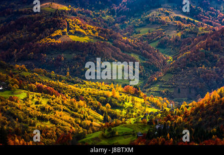 Dorf im sonnendurchfluteten Talblick von oben. Wald mit goldenes Laub auf Hügeln. schönen Herbstabend Stockfoto