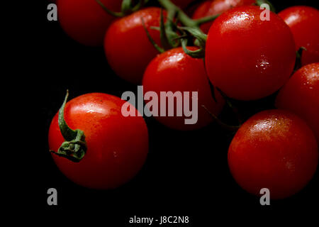 Cherry-Tomaten am Rebstock Stockfoto