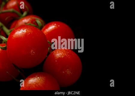 Cherry-Tomaten am Rebstock Stockfoto