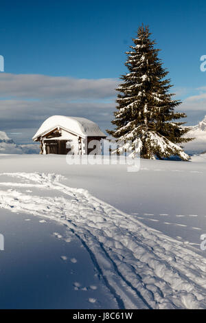 Kleine Hütte und Tanne auf der Bergspitze in Französische Alpen Stockfoto