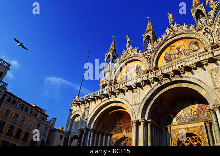 Blick auf Saint Mark's Basilika an einem sonnigen Tag. Strahlend blauer Himmel, goldene Fassade. Möwe das Fliegen durch. Stockfoto