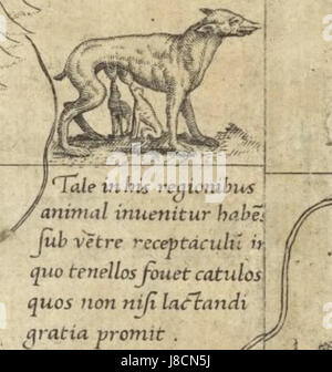 Mercator 1569 Welt Karte Detail Tiere Stockfoto