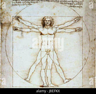 Homme vitruve Stockfoto