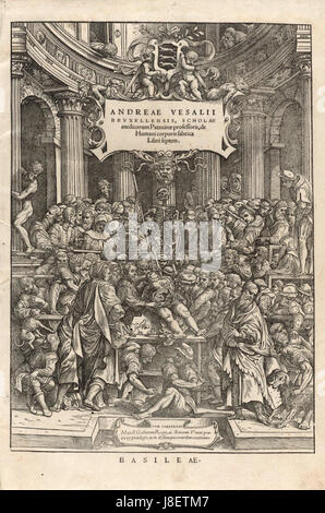 Houghton Typ 565.43.868 De Humani Corporis fabrica Stockfoto