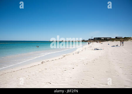 Coogee, WA, Australien-November 14,2016: Menschen Sie schwimmen in den Hai net und am Strand an einem sonnigen Tag in Coogee, Western Australia. Stockfoto