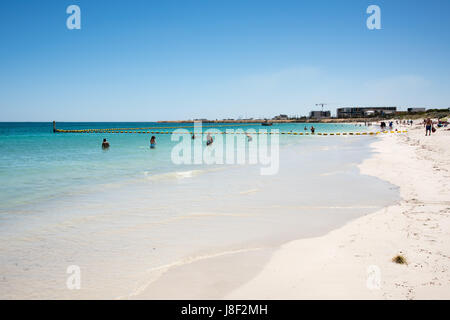 Coogee, WA, Australien-November 14,2016: Leute schwimmen im Indischen Ozean mit Hai net am Coogee Beach in Coogee, Western Australia Stockfoto