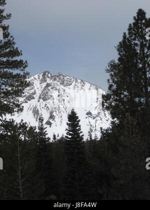 Schneebedeckten Mount Lassen Stockfoto