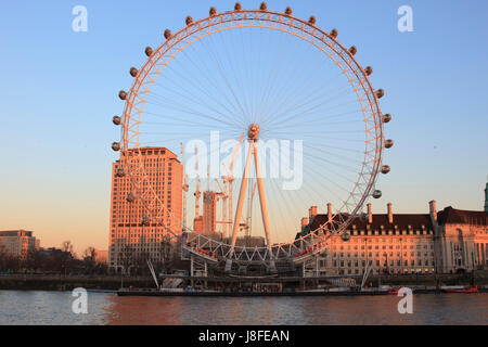 Riesenrad London Eye in der goldenen Sonne Stockfoto