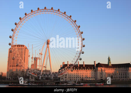 Riesenrad London Eye in der goldenen Sonne Stockfoto