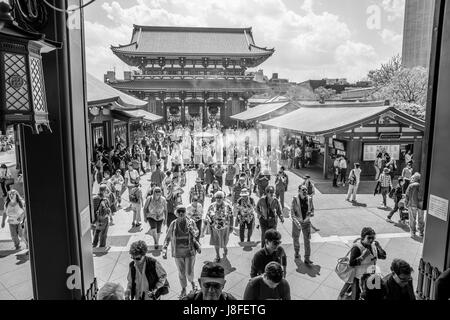 Sensoji Hozomon Tor Stockfoto