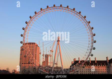 Riesenrad London Eye in der goldenen Sonne Stockfoto