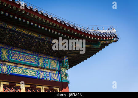 Imperial Hall of Heaven, himmlische Lager, Himmelstempel, Peking, China Stockfoto