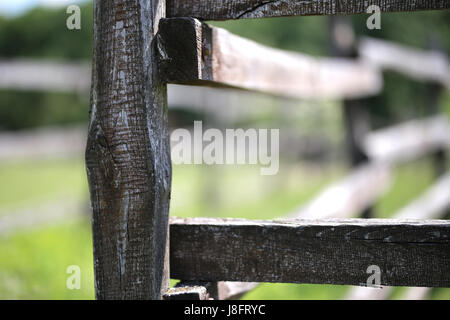Alte hölzerne ländlichen Corral Zaun in Wiese vor grünen natürlichen Hintergrund Stockfoto