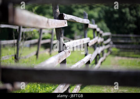Sehr alte hölzerne Corral Zaun im Sommer ländliche Szene. Geringe Schärfentiefe Stockfoto