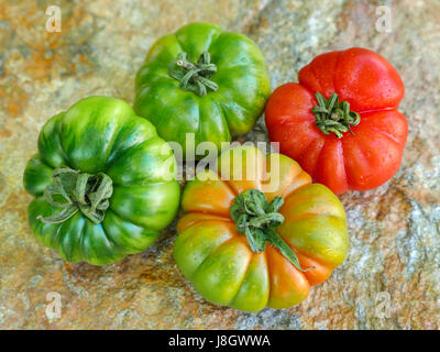 Verschiedenen Marinda Tomaten aus Sizilien Stockfoto