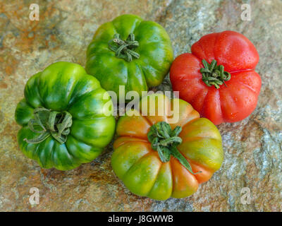 Verschiedenen Marinda Tomaten aus Sizilien Stockfoto