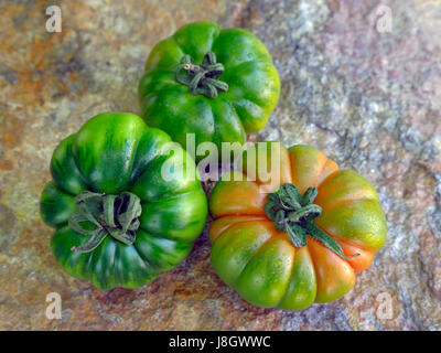 Verschiedenen Marinda Tomaten aus Sizilien Stockfoto
