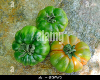 Verschiedenen Marinda Tomaten aus Sizilien Stockfoto