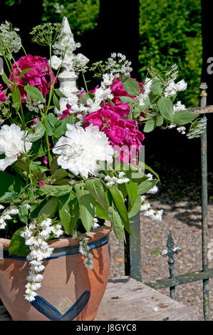 Eine vergossene Blumenstrauß, bestehend aus einer feinen Mischung aus Rosa und weiße Pfingstrose Rosen unter anderen Blumen. Stockfoto