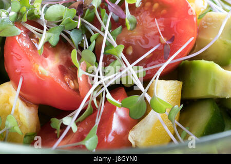 Frischen Grünkohl und Amaranth Microgreens in einem Gemüsesalat. Stockfoto