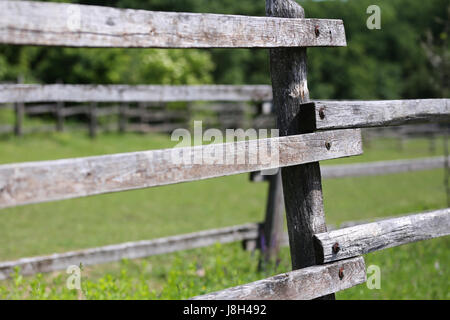 Alte hölzerne ländlichen Corral Fense auf Wiese Stockfoto