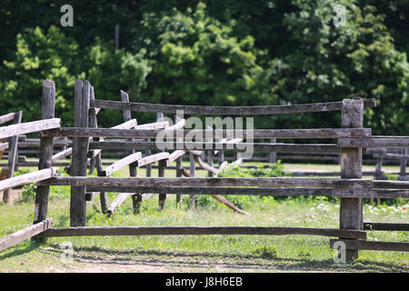 Sehr alte hölzerne Corral Zaun im Sommer ländliche Szene. Geringe Schärfentiefe Stockfoto