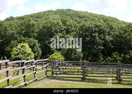 Braun Country Stil Zaun Aufteilung einer grünen grasigen Weide gegen einen kleinen grünen Hügel Stockfoto