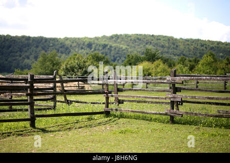 Alte hölzerne corral Zaun in ländlichen Scenic Wiese Stockfoto