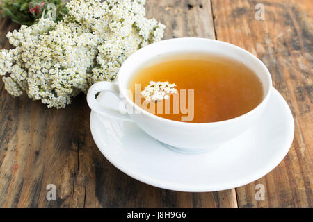 Schafgarbe Tee, Achillea Millefolium, auf einem rustikalen hölzernen Hintergrund. Stockfoto