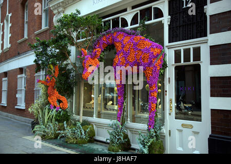 Blütenpracht an Kiki, Symons Street, Chelsea SW3 während Chelsea Flower Showymons Streett Stockfoto