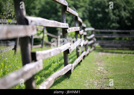 Sehr alte hölzerne Corral Zaun im Sommer ländliche Szene. Geringe Schärfentiefe Stockfoto