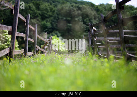 Sehr alte hölzerne Corral Zaun im Sommer ländliche Szene. Geringe Schärfentiefe Stockfoto