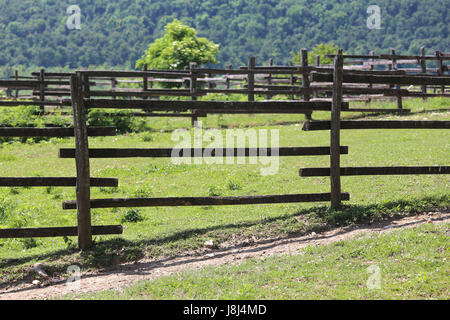 Alte hölzerne corral Zaun in ländlichen Scenic Wiese Stockfoto