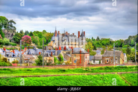 Blick auf die wickelten mit der Burg - das Loire-Tal, Frankreich Stockfoto