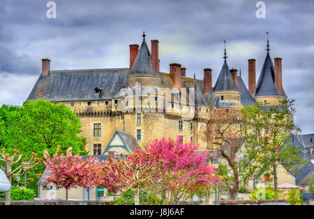 Blick auf das Chateau de wickelten, ein Schloss im Loire-Tal, Frankreich Stockfoto