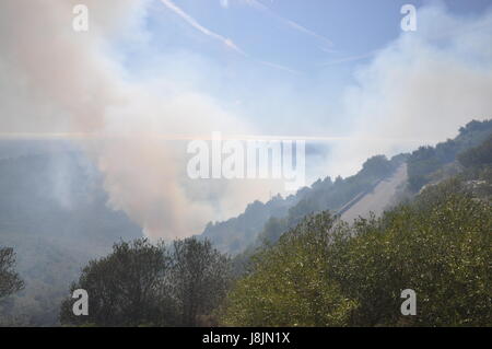 Waldbrand auf mallorca Stockfoto