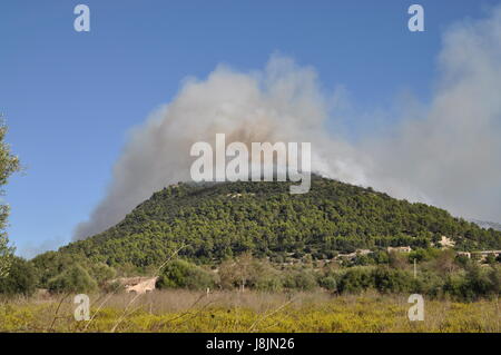 Rauchen Sie, Rauchen, raucht, Rauch, Mallorca, Brand, Feuersbrunst, Waldbrand, Stockfoto